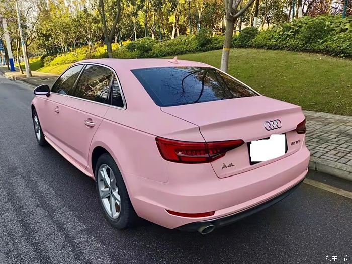淡粉色车衣图片