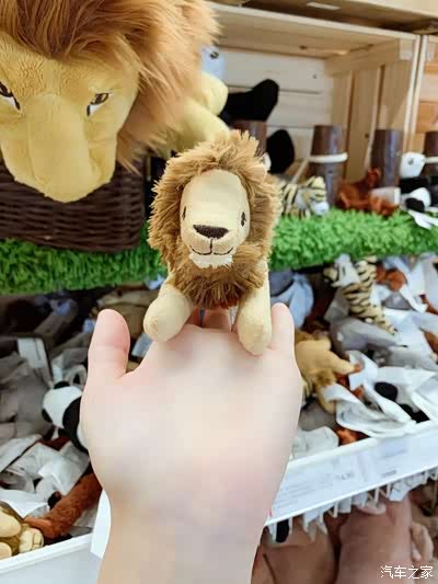 很可爱的小狮子