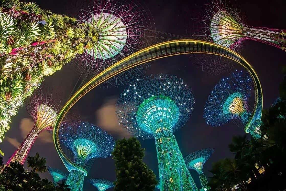 新加坡滨海花园的天空树,超美的!