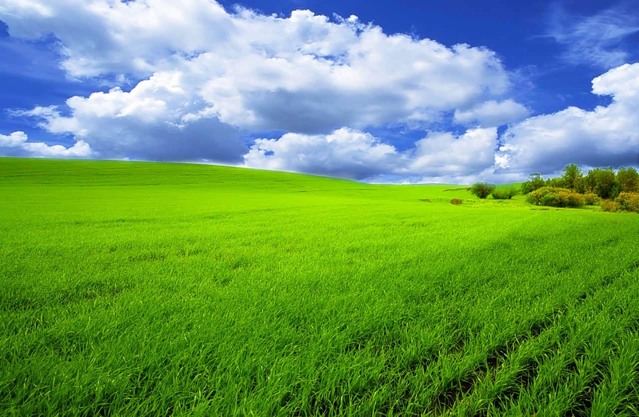 地方不大,靠近海边吹风很舒服.