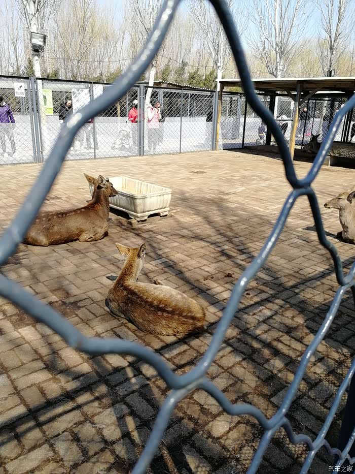 小欧伴你成长沈阳长白岛动物园