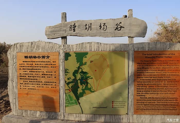 阿拉尔买车：购车新风尚