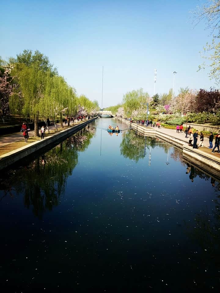 中午休息的时候逛逛附近的小公园.