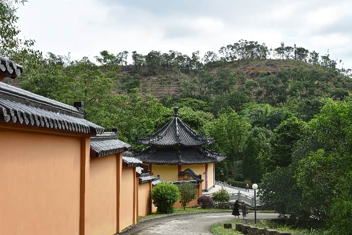 游妙觉寺赏塔林风光