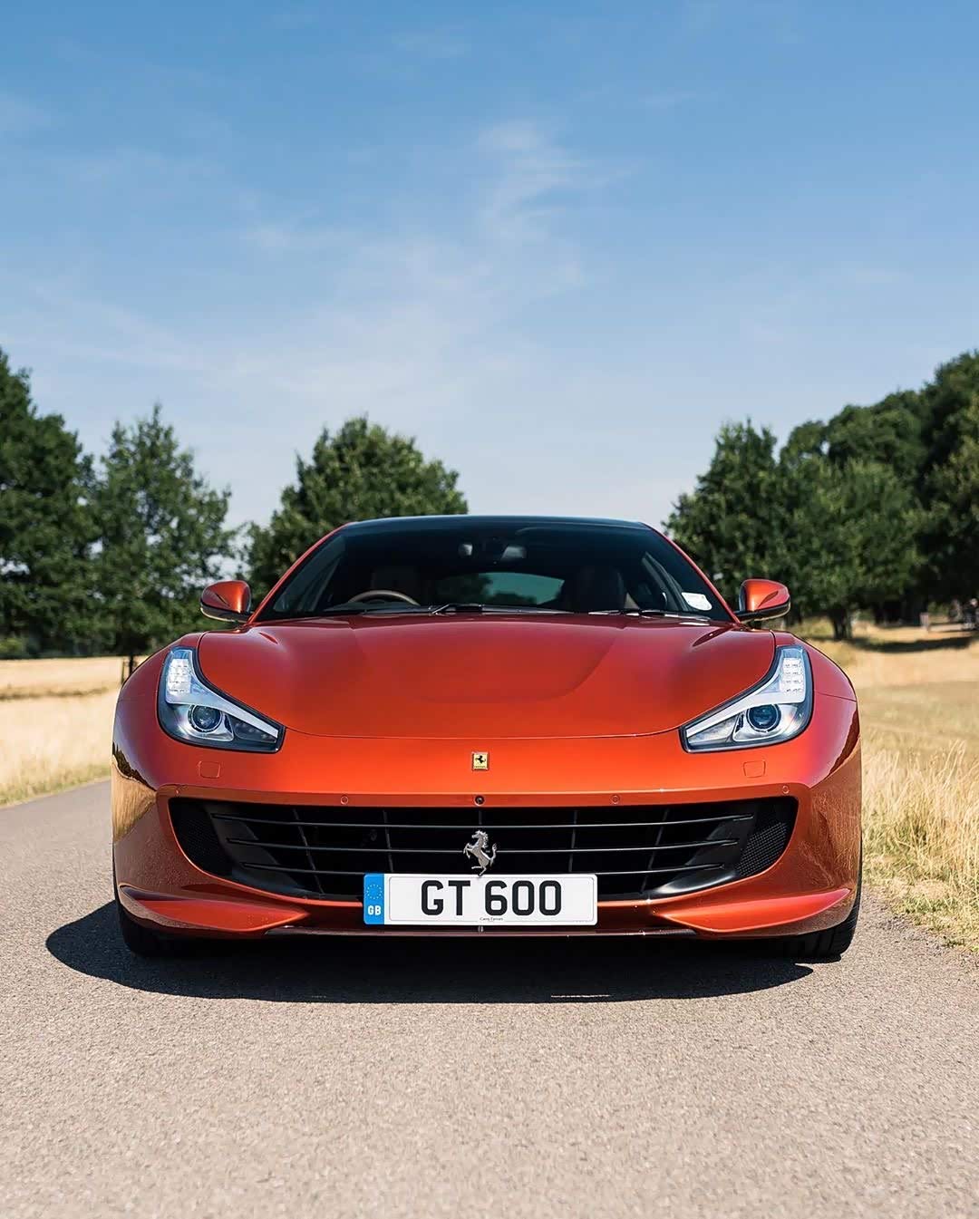 【图】我猜gtc4 lusso v12 车主都是狠人_法拉利论坛_汽车之家论坛