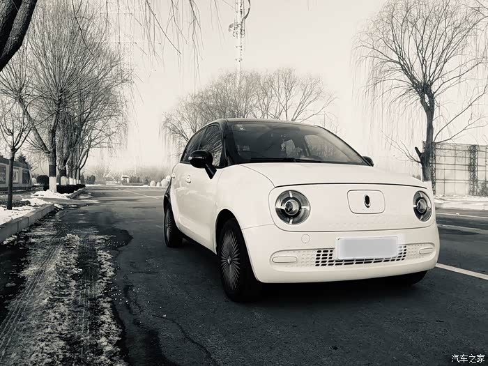 黑白欧拉演绎黑与白的魅力