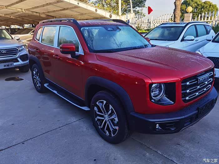 今天刚提的哈弗大狗红马犬