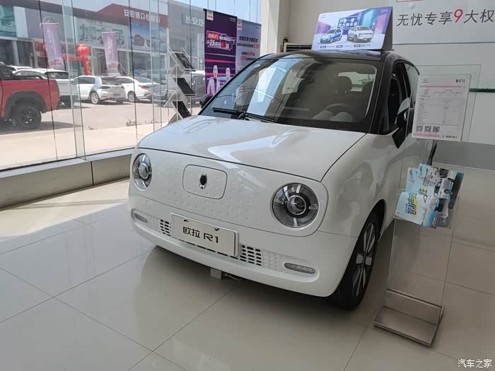 欧拉小黑猫--灵巧的夏日精灵