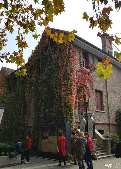 梧桐树下的思南路