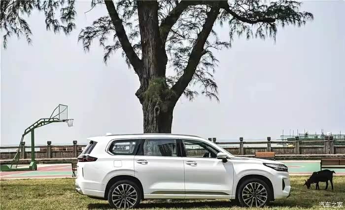 星途揽月400t白色款的外观为什么搜不到