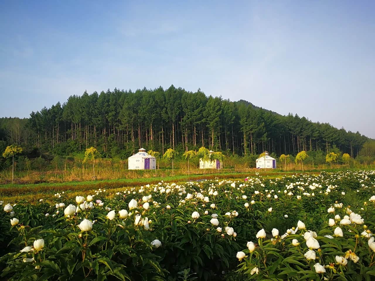 开着喜欢的车,让我走到更远的地方