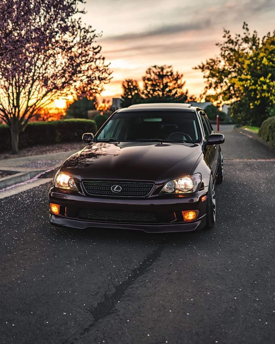 雷克萨斯is300咬地鲨 单边单出真棒