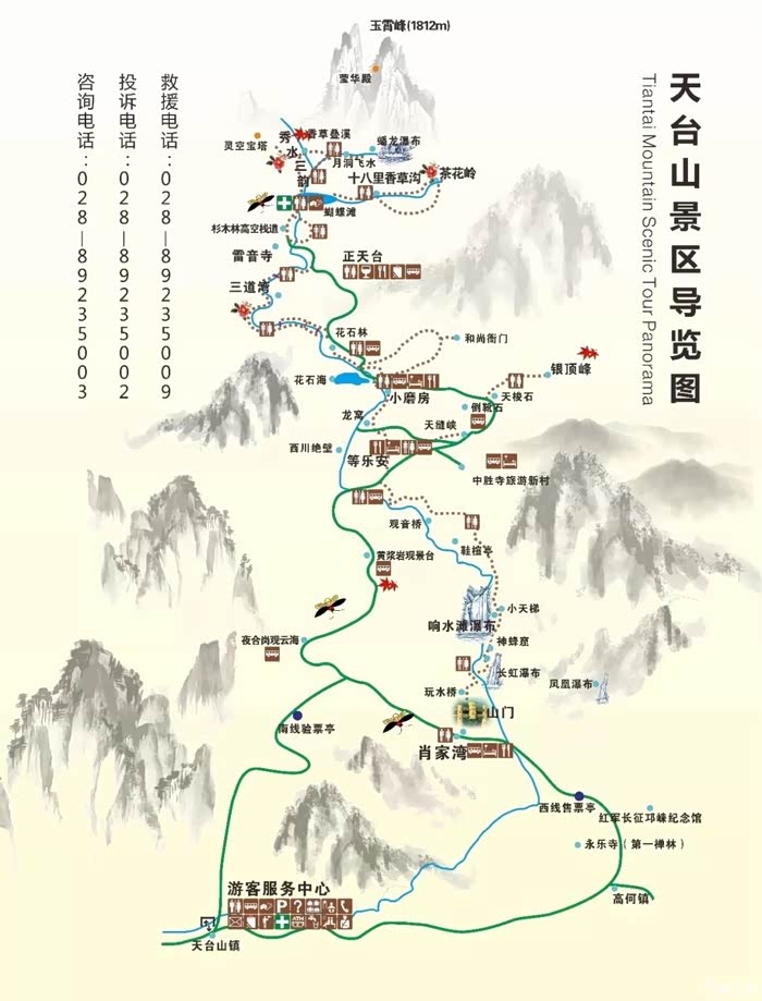 童话般的流萤森林天台山之旅