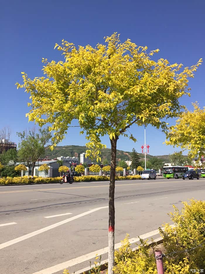 【株洲cs家族车友会】西藏自驾之旅最后一站——西安