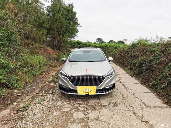 嗯,这就是红旗h5,车漆颜色也是我喜欢的号称--铂光金,我更喜欢叫它