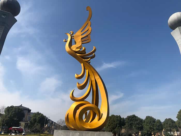 金凤凰,好看的很