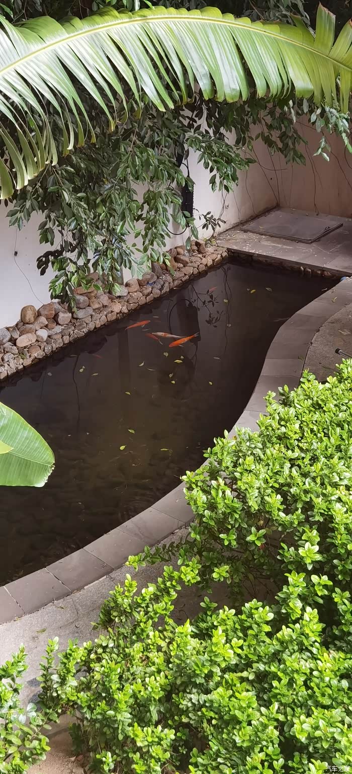 金鱼池里面只有4条小金鱼露出水面.也是不可多得的美景之屋.