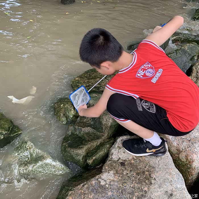 深圳长安新能源车友会漫步红树林陪表弟抓跳跳鱼