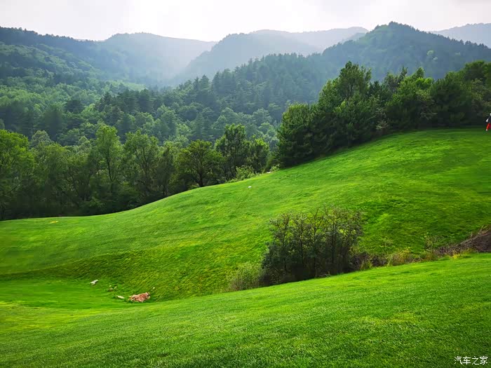 "八道沟"山高林密,苍儿会风景如画