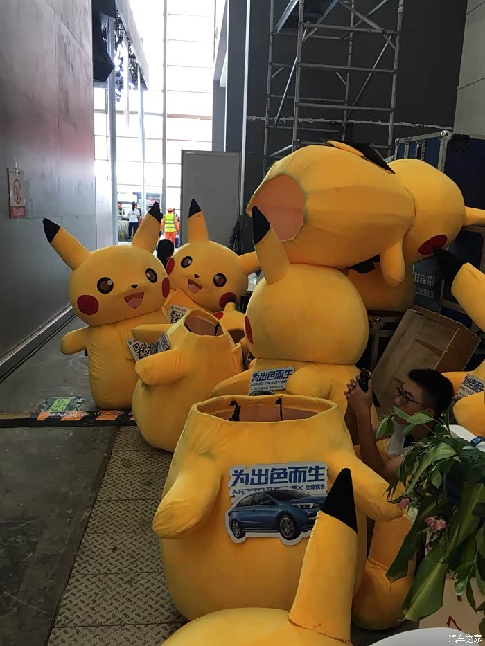 休息中的一群皮卡丘!