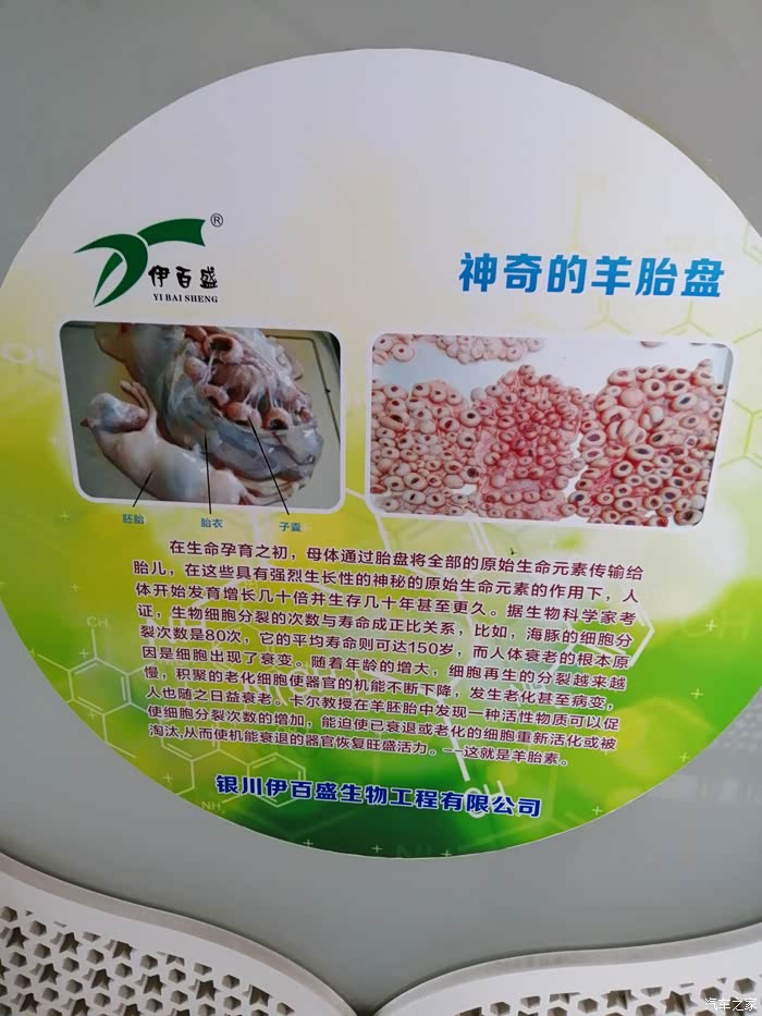年末福利大反馈参观银川伊百盛羊胎素馆记