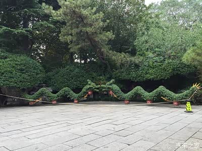 两条龙 是长江与黄河吧