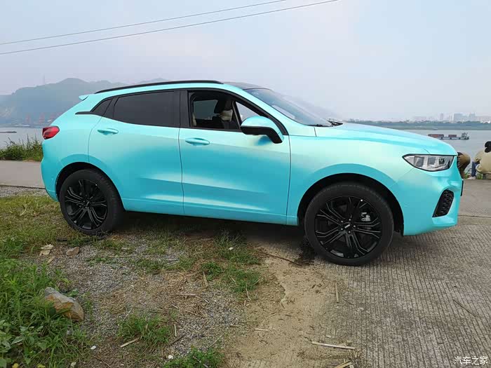 wey争奇斗艳来场改色竞赛