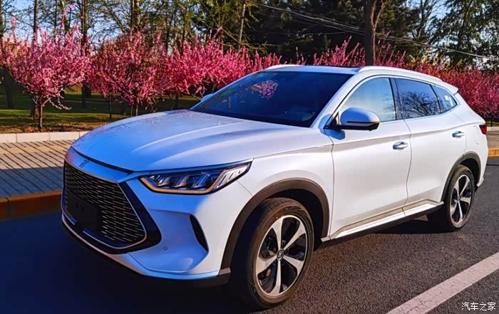 假期探店比亚迪试乘试驾的宋plusdmi