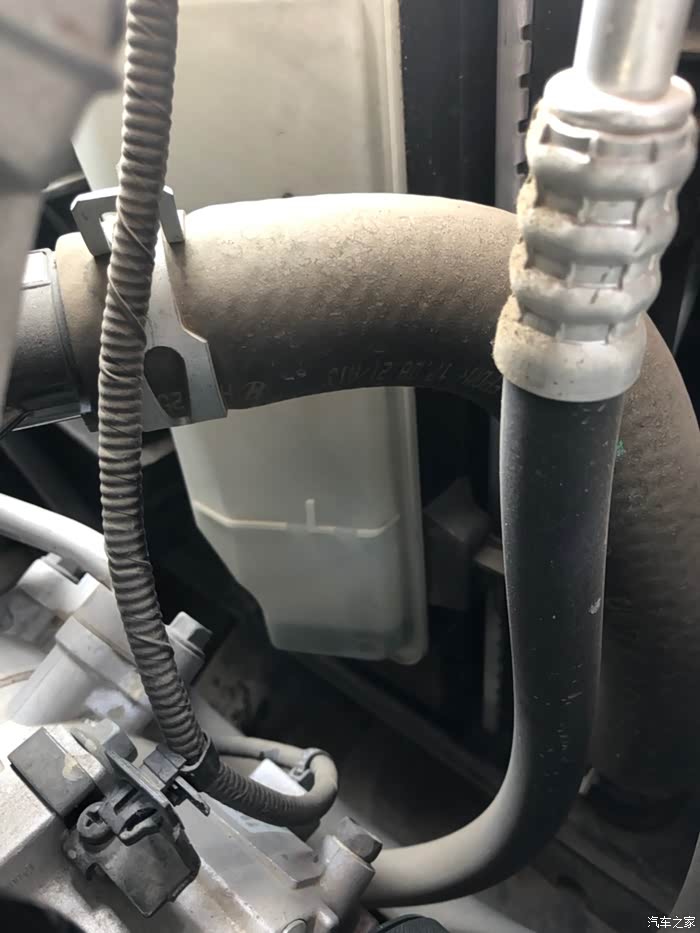 领动加什么牌子的防冻液?