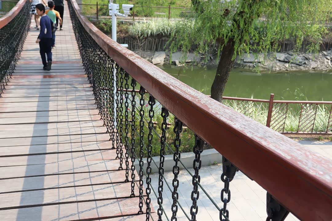 大七伴我游胆小的女儿横渡铁索桥