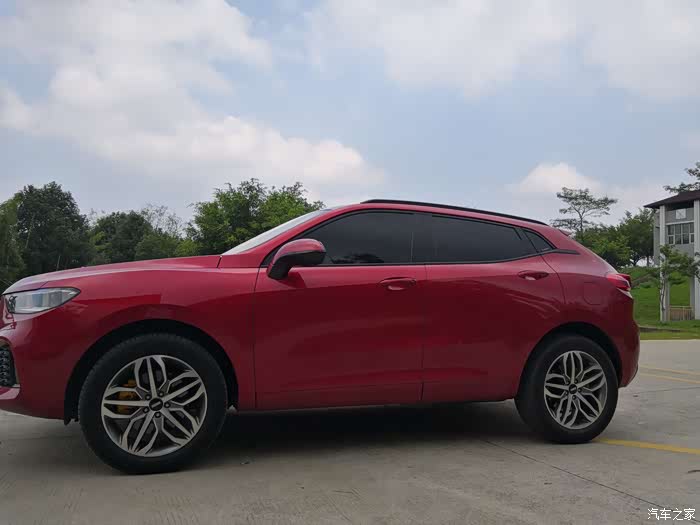 马尔斯红我的最爱