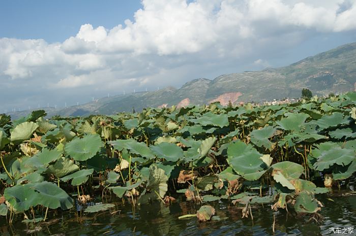 陆良白水塘风景区图片