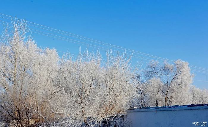 憶呼倫貝爾之行,任情在雪中肆虐.