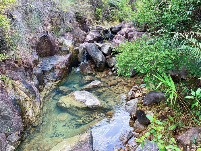 山涧溯溪北峰山国家森林公园