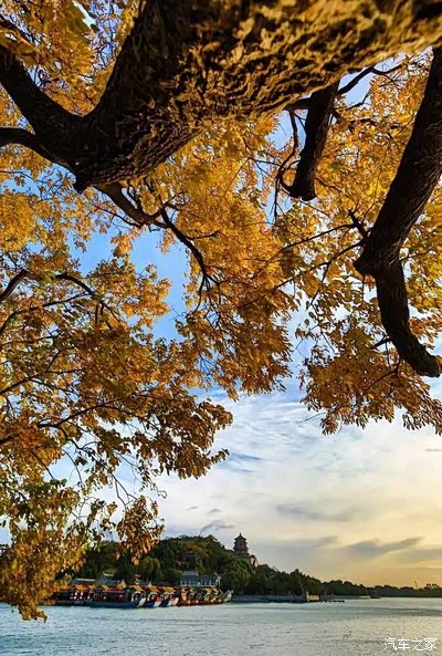 一年好景君须记,最是橙黄橘绿时!颐和园的秋天美翻了