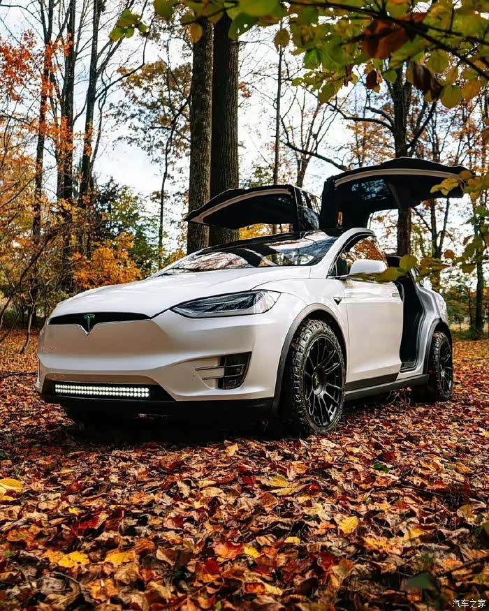特斯拉modelx鸥翼门真香