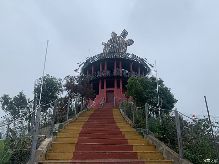 红林花海 韶山图片