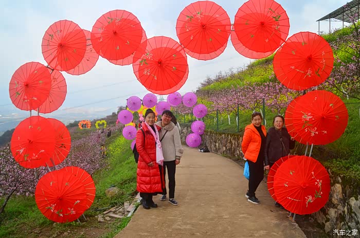 35plus陪伴游北碚歇马桃花节