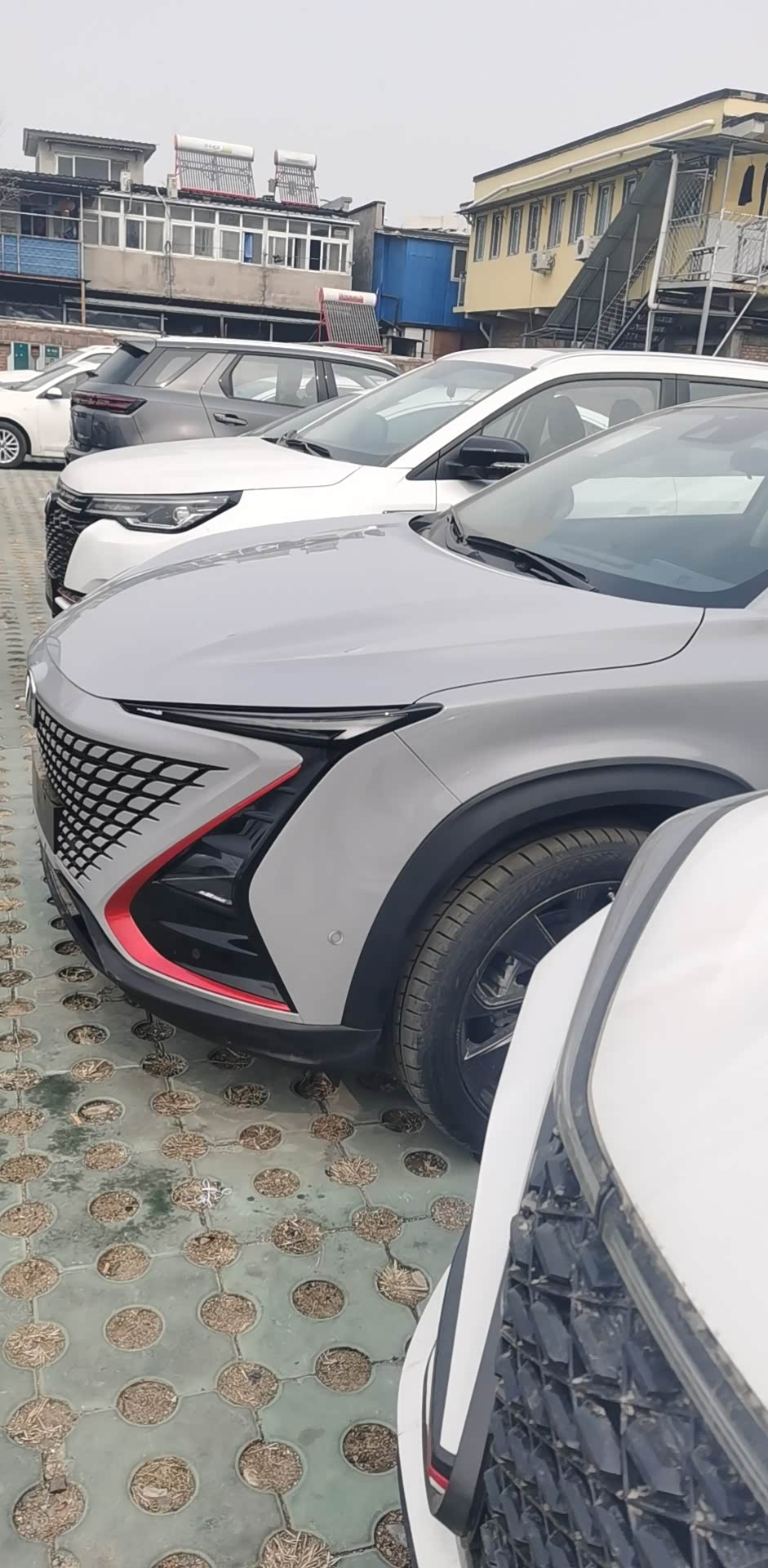 谁有unik原子灰浅灰发图来看下是否漂亮