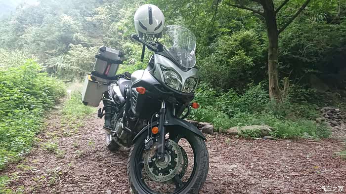 寻寻觅觅,求dl650组织