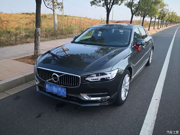 s90智逸松林灰提车作业