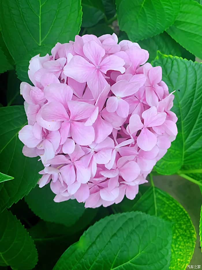 发现生活中的小美好,悠闲的午后