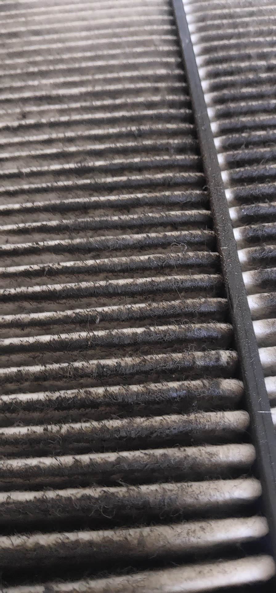 空气滤芯这么脏