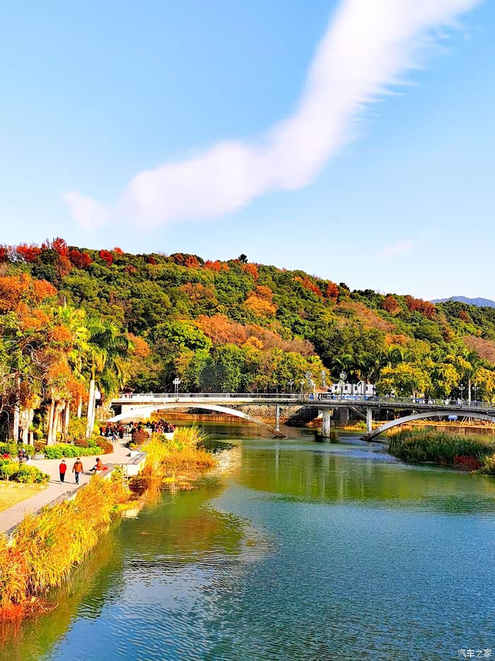 江西论坛征文故乡龙岩城里的那条河龙津河