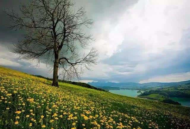 走在山山水水的美景里,感觉心情非常的舒爽.