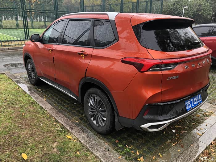 【图】用车记之加装后备箱网格,增加储物空间_上汽大通maxus d60论坛