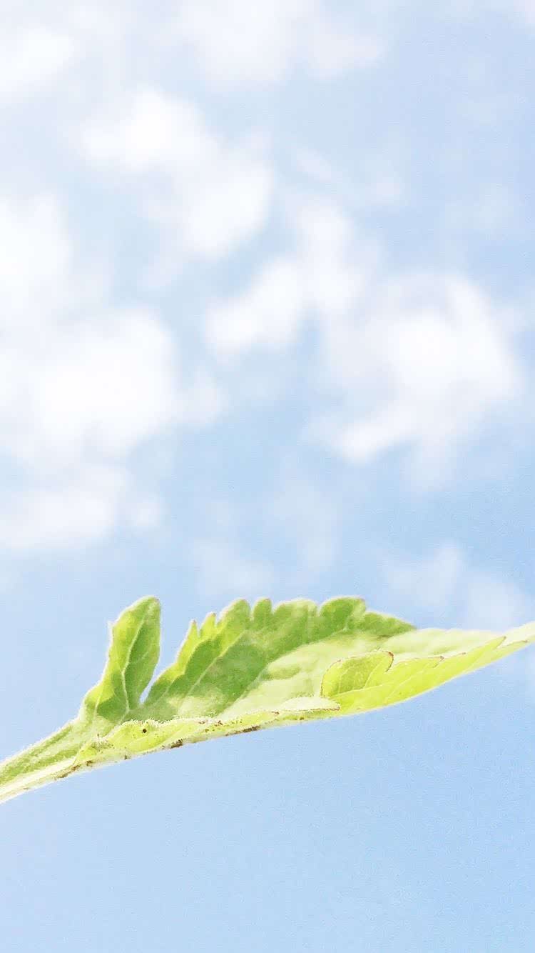 旅行可以让人心情愉悦,可以让眼睛放松欣赏美景.