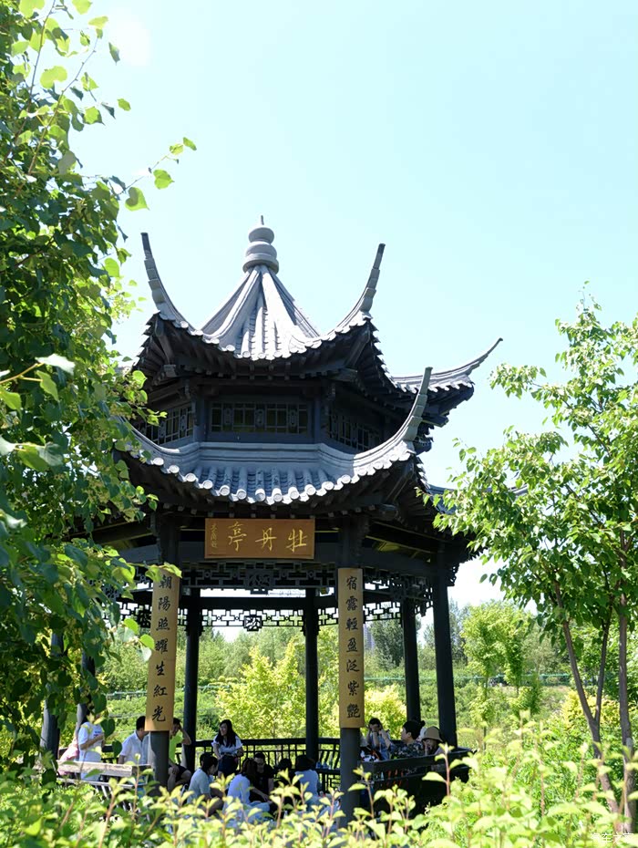 [大美龙江][哈尔滨]中国亭园游记