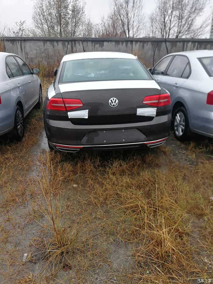 选择迈腾,但是纠结颜色,不知道橡木棕怎么样?没有见过实车!