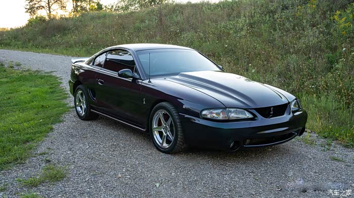 年末福利大反馈经典老车系列福特野马svt眼镜蛇